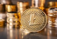 A complete guide to Litecoin its price and future